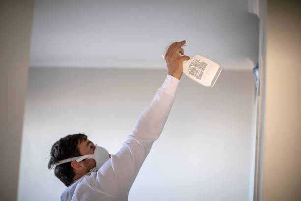 Reliable Albuquerque, NM Mold Removal Solutions